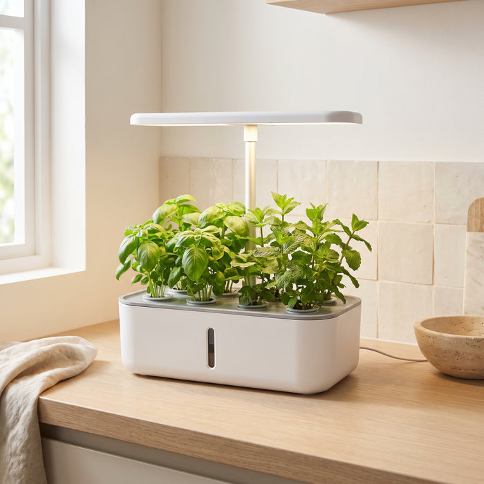 Weißer Hydroponik-Kräutergarten mit LED-Pflanzenlicht auf einer hellen Küchenarbeitsplatte