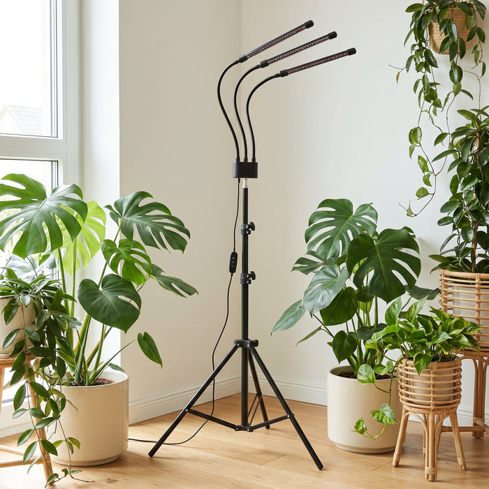 Dreiflammige Vollspektrum-Pflanzenlampe mit Standfuß in einem hellen Wohnraum