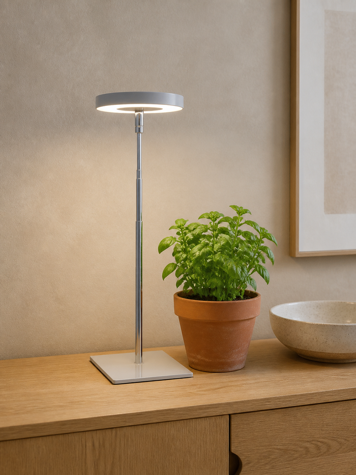 Teleskop-Pflanzenlampe mit quadratischem Sockel über einem Kräutertopf auf einem Sideboard