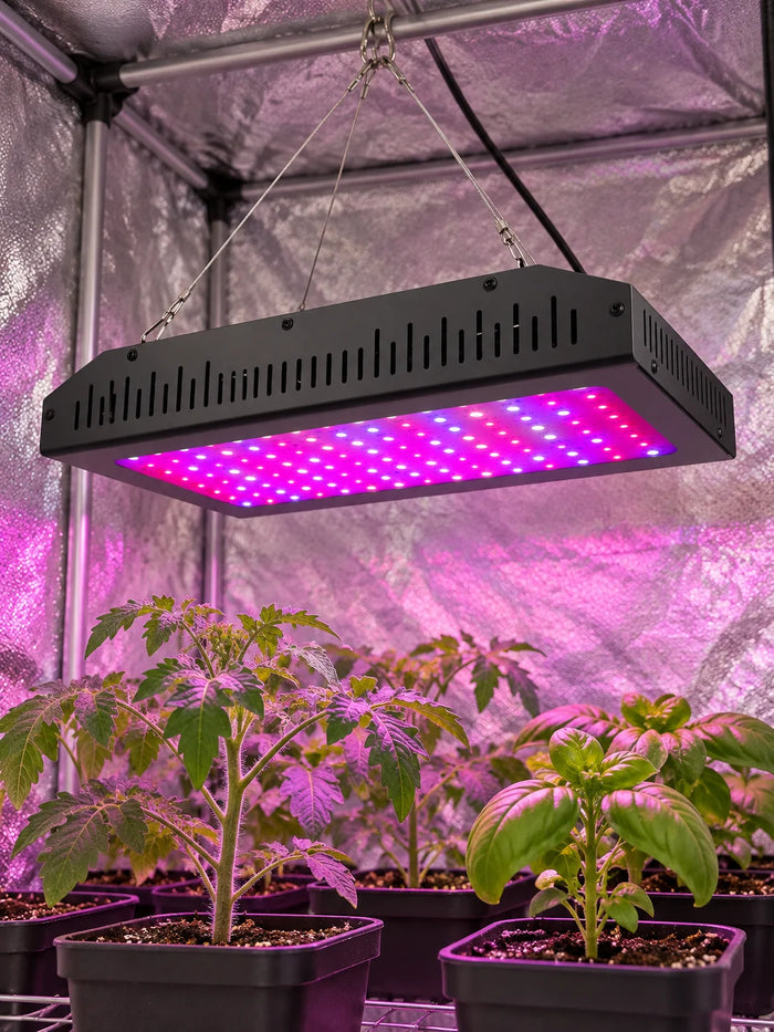 LED-Pflanzenlampe Vollspektrum – Quantum Board – – 1200W LED-Pflanzenlampe. KI-Raumvisualisierung nach Produktreferenz.