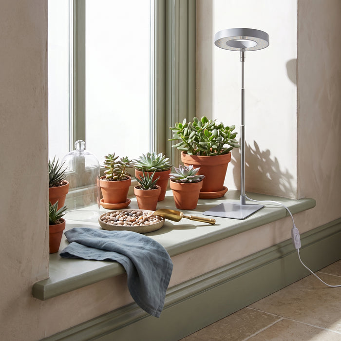 Full-spectrum indoor solar LED growth lamp, USB timing in einem hellen Wohnraum