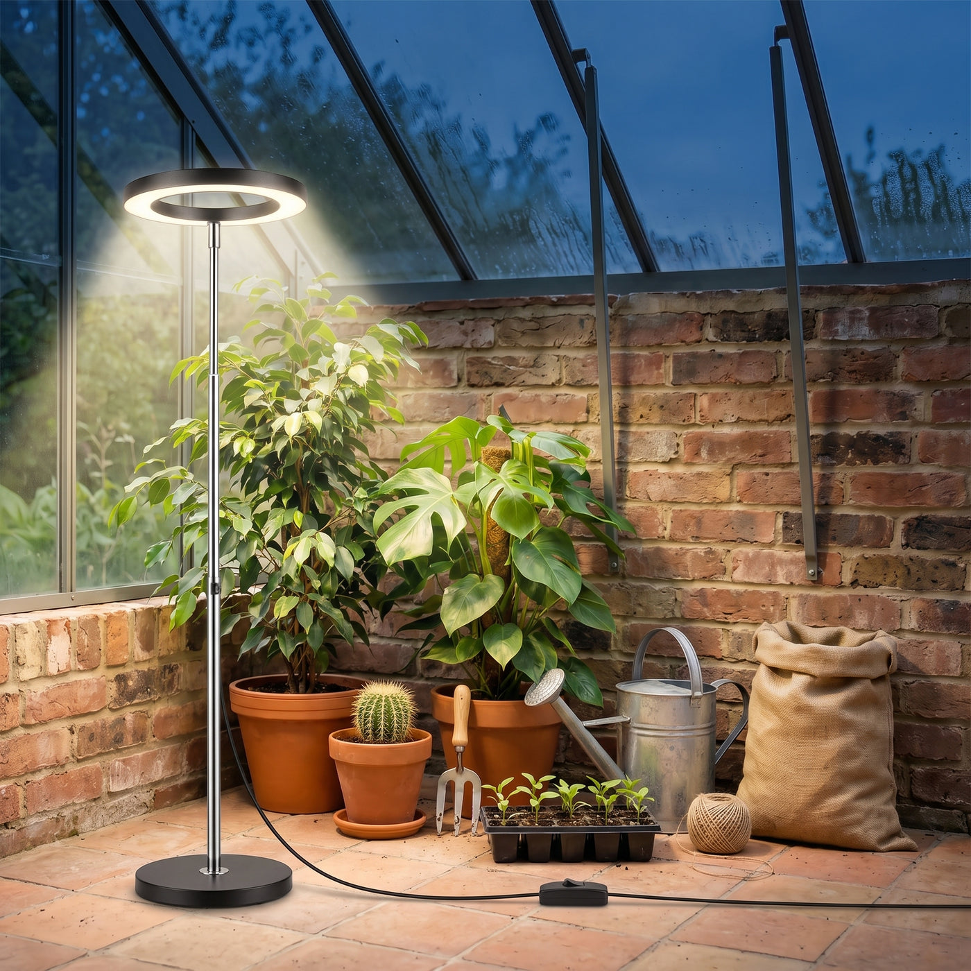 Plant Grow Light, Height Adjustable with Auto On/Off eingeschaltet am Abend
