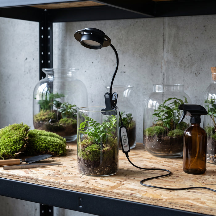Dimmable USB Terrarium Plant Growing Lamp with Timer for in einem hellen Wohnraum