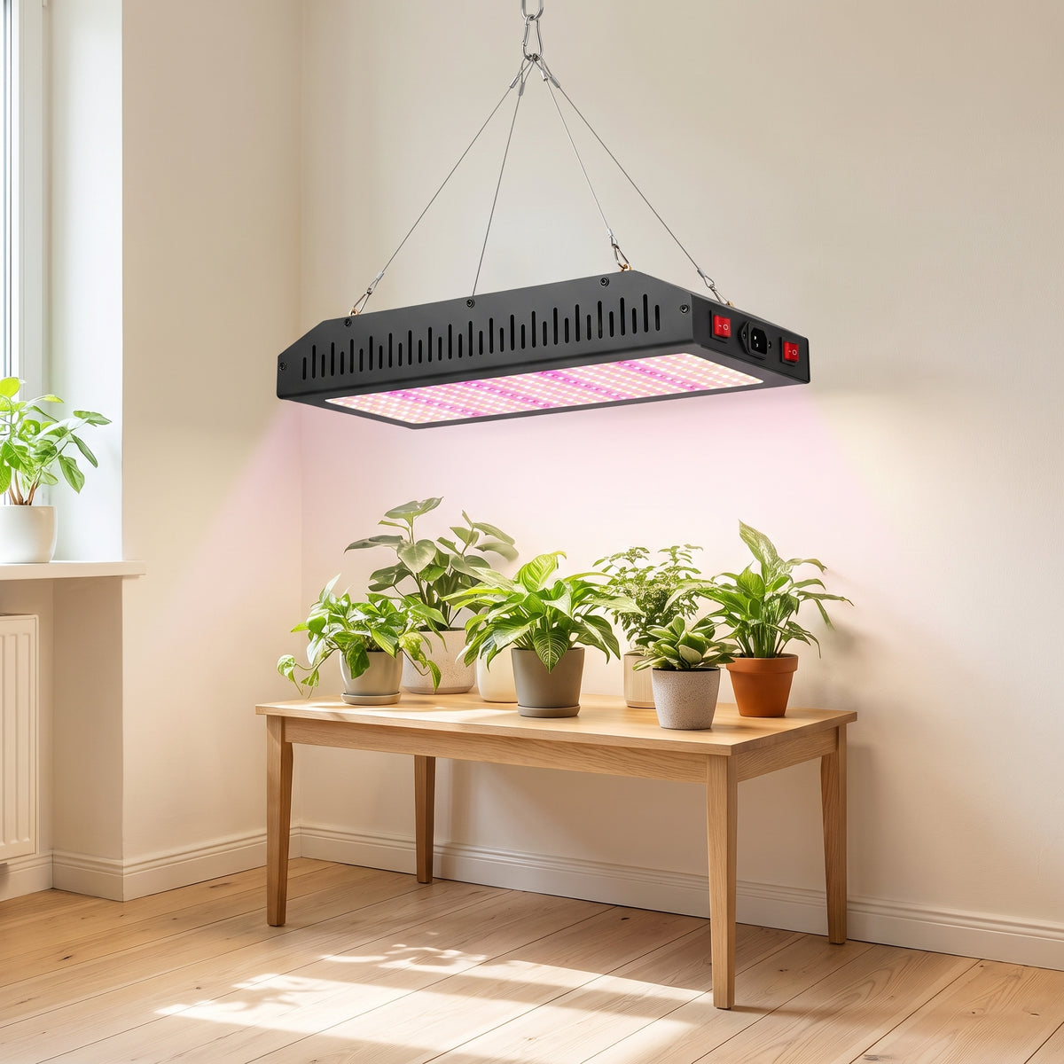 LED-Pflanzenlampe mit Vollspektrum-Board über grünen Pflanzen in einem hellen Raum