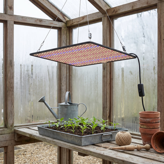 LED Grow Light Full Spectrum Phyto Lamp AC85-240V 40W For in einem hellen Wohnraum